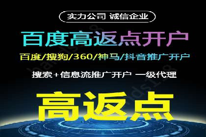 SEM精准广告投放的五大成功案例