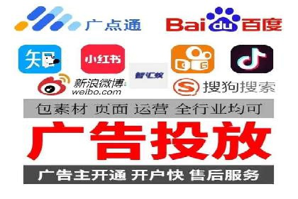 顶级SEM运营公司案例分析